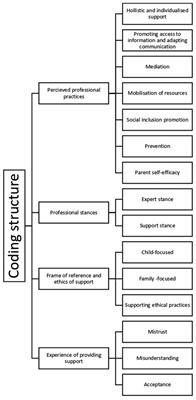 Exploring professionals' practices and perspectives on supporting parents with intellectual disabilities: a qualitative study